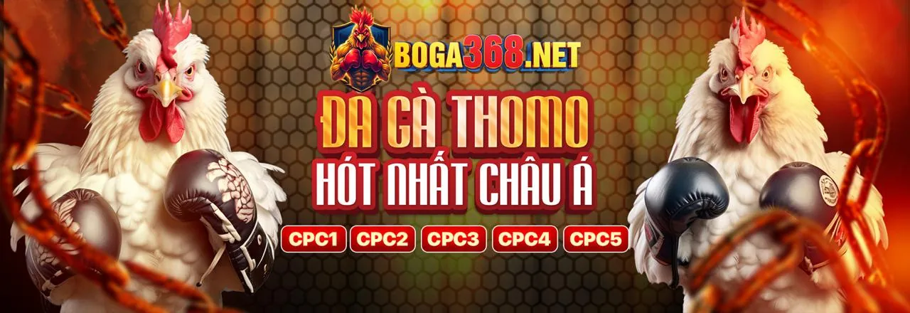 Đấu gà trực tuyến kịch tính tại GG8805